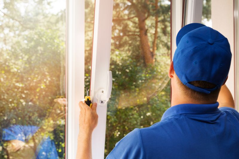 Professional Installing Windows